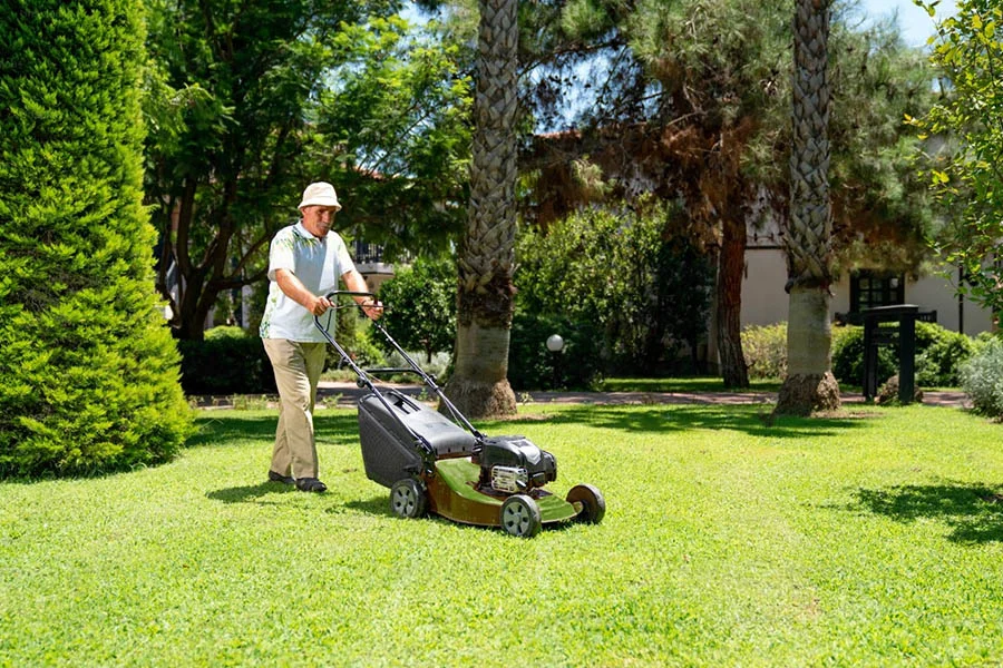 walk behind electric lawn mower